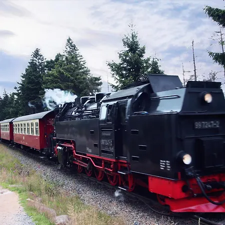 Daire Braunlage-hohegeiss 471 Harz Mit W-lan Hohegeiß