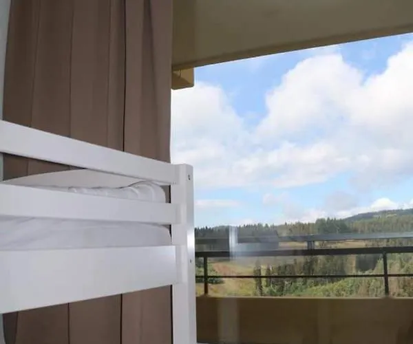 Apartman Braunlage-hohegeiss 471 Harz Mit W-lan Hohegeiß