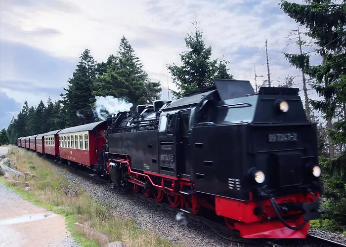 Apartman Braunlage-hohegeiss 471 Harz Mit W-lan Hohegeiß