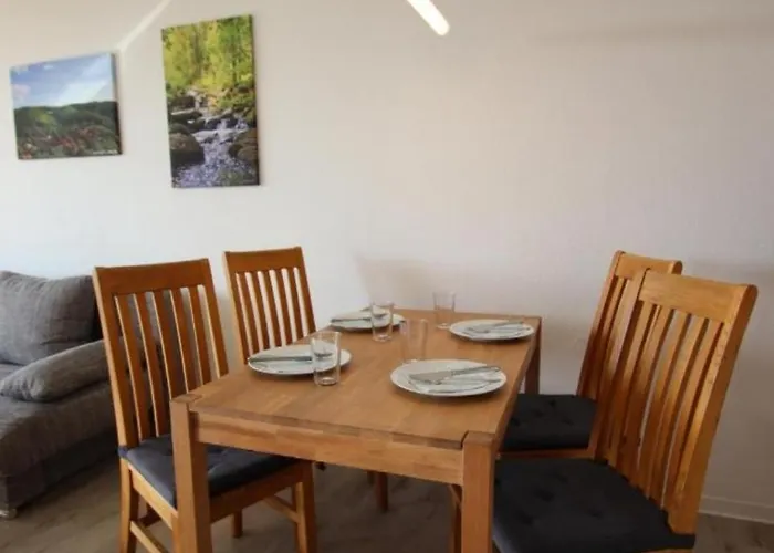 Braunlage-hohegeiss 471 Harz Mit W-lan Apartman Hohegeiß