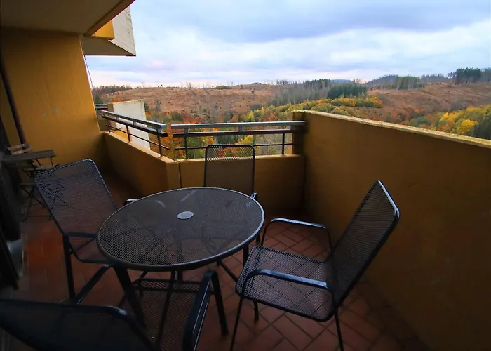 Braunlage-hohegeiss 471 Harz Mit W-lan *